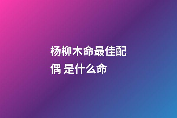 杨柳木命最佳配偶 是什么命